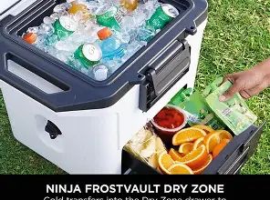 The Real Truth: Delonghi Rivelia or Ninja Frostvault Cooler?